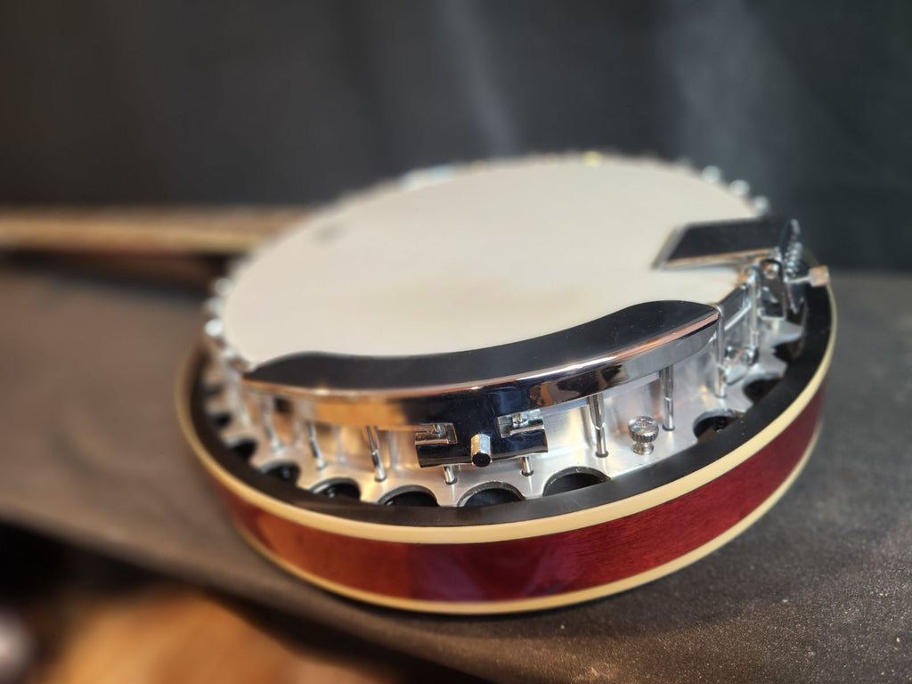 A Banjo's Journey: From New Jersey to Boston's String Swap