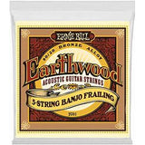 Ernie Ball Earthwood 5-string Banjo 80/20 Bronze Loop End Frailing Set, .010 - .024